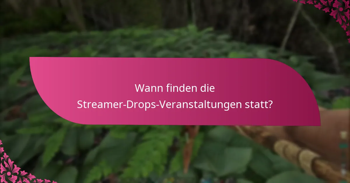 Welche Streamer nehmen an der Veranstaltung teil?