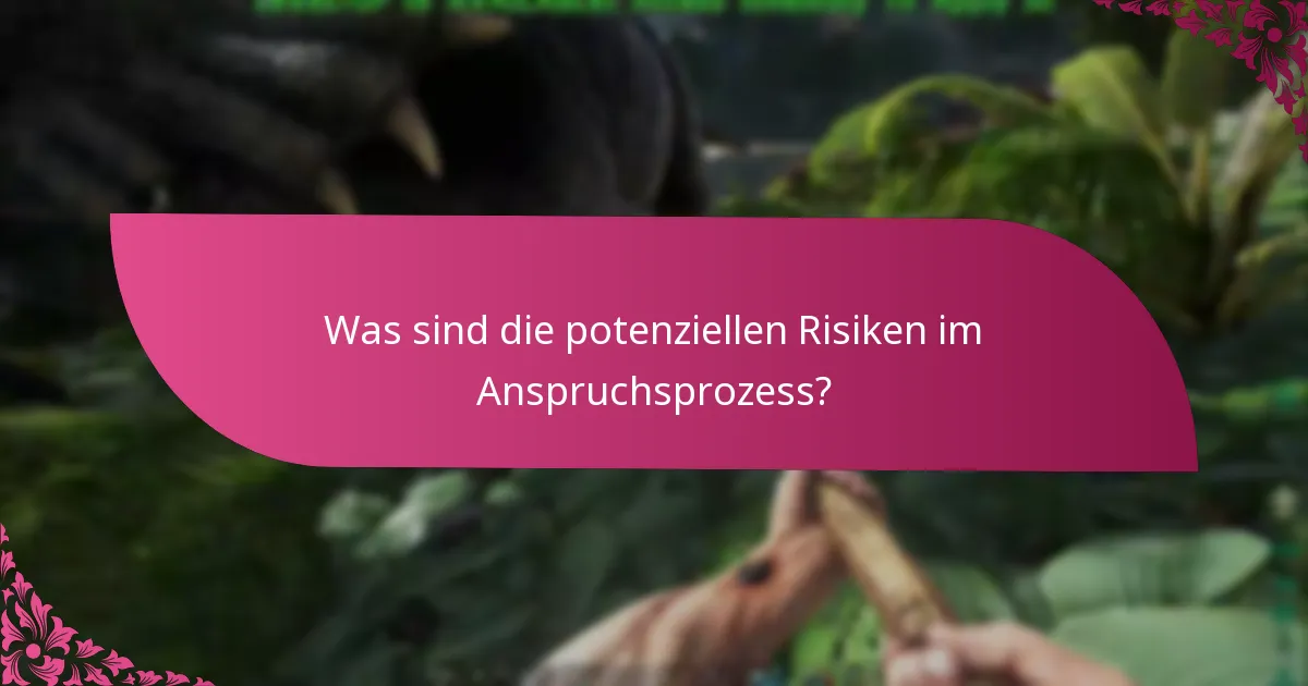 Welche Schritte zur Fehlersuche kann ich während des Anspruchsprozesses unternehmen?