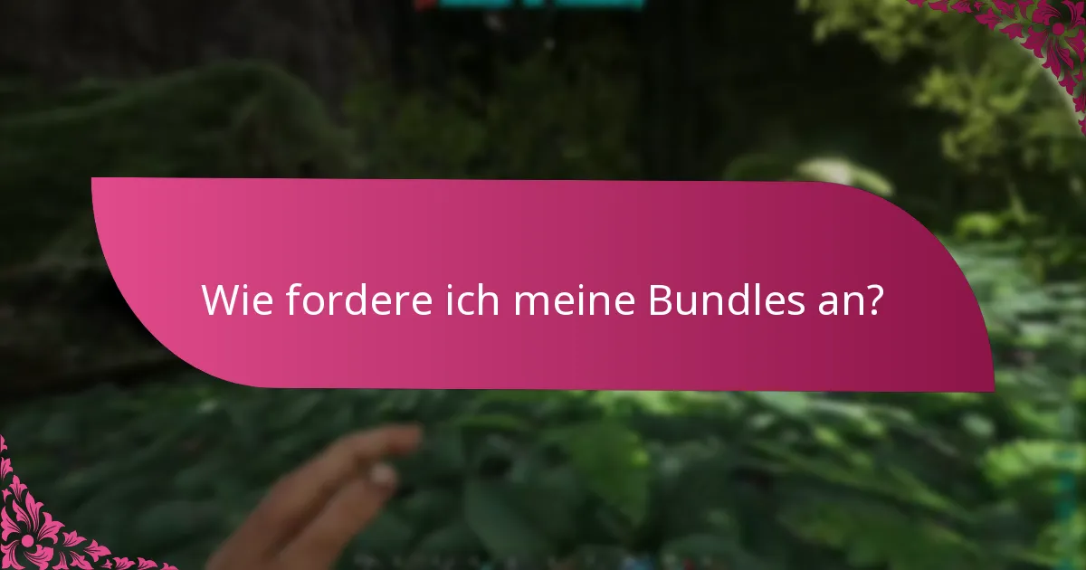 Was sind die häufigsten Probleme bei der Bundle-Einlösung?